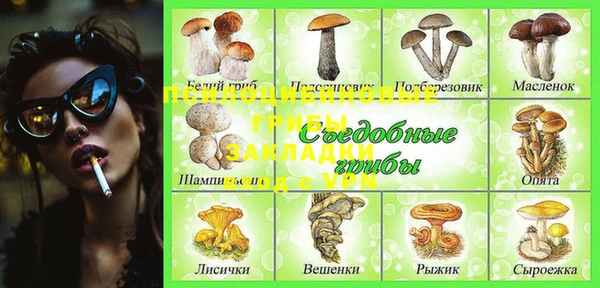 мет Михайлов